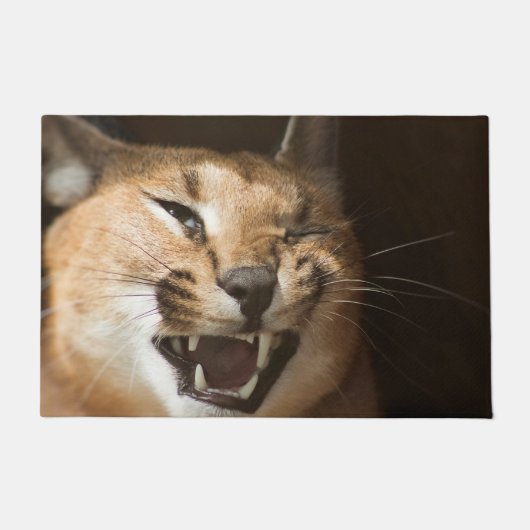 Goofy Lynx Fußmatte (Vorderseite)