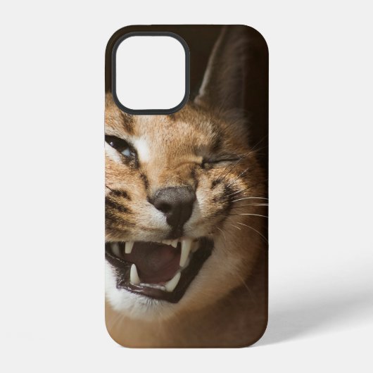 Goofy Lynx iPhone Hülle (Rückseite)