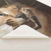 Goofy Lynx Sherpadecke (3/4)