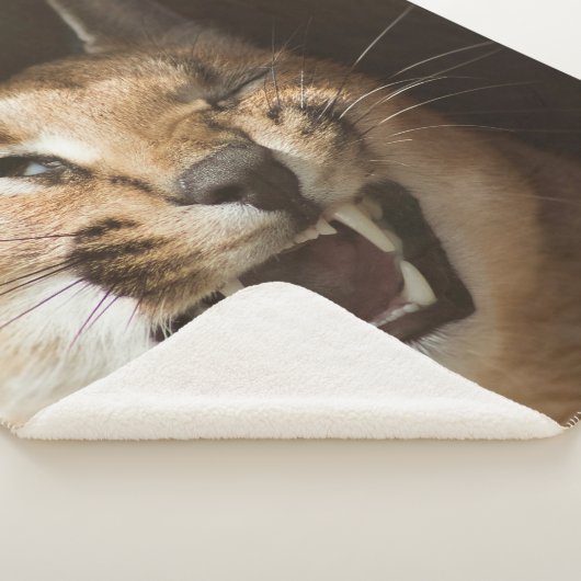 Goofy Lynx Sherpadecke (3/4)