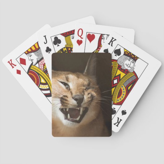 Goofy Lynx Spielkarten (Rückseite)