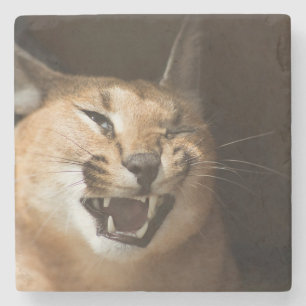 Goofy Lynx Steinuntersetzer