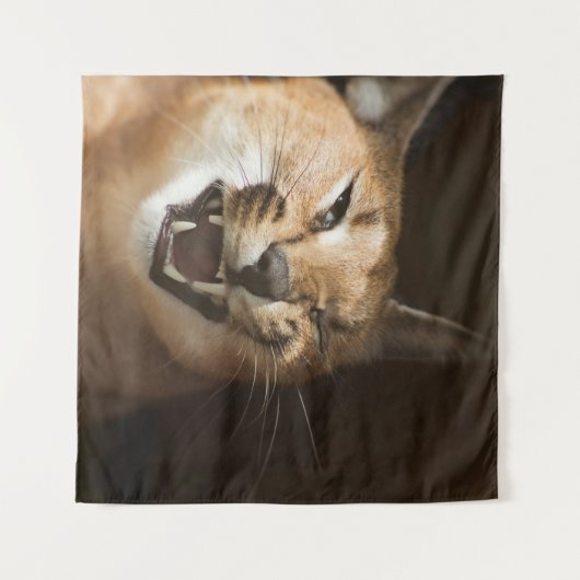 Goofy Lynx Wandteppich (Vorderseite (Horizontal))