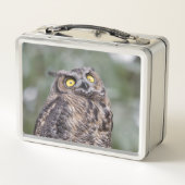 Goofy Owl Metal Lunchbox (Rückseite)