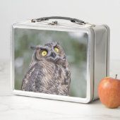 Goofy Owl Metal Lunchbox (Beispiel)