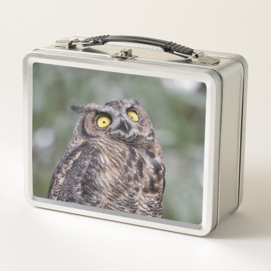 Goofy Owl Metal Lunchbox (Vorderseite)