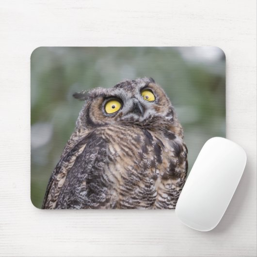 Goofy Owl Mousepad (Mit Mouse)