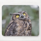 Goofy Owl Mousepad (Vorne)