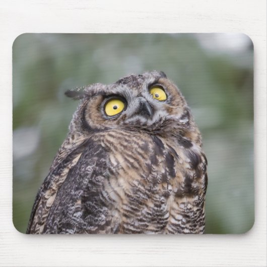Goofy Owl Mousepad (Vorne)
