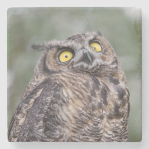 Goofy Owl Stone Untersetzer