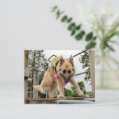 goofy postkarte (Stehend Vorderseite)