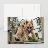 goofy postkarte (Vorne/Hinten)