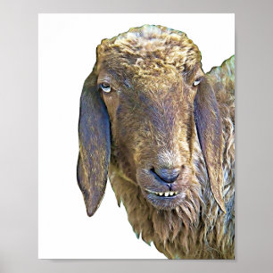 Goofy Sheep Farm Animal Art Poster
