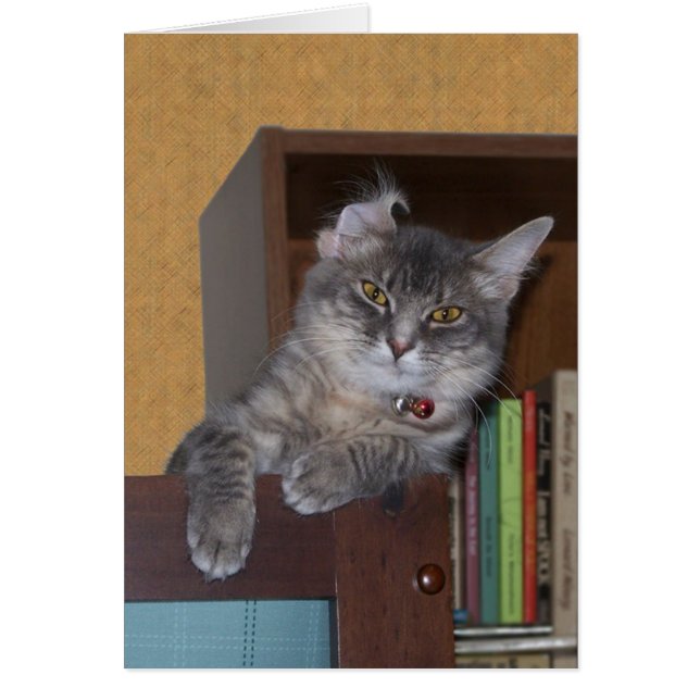 Goofy Xena Karte (Vorne)