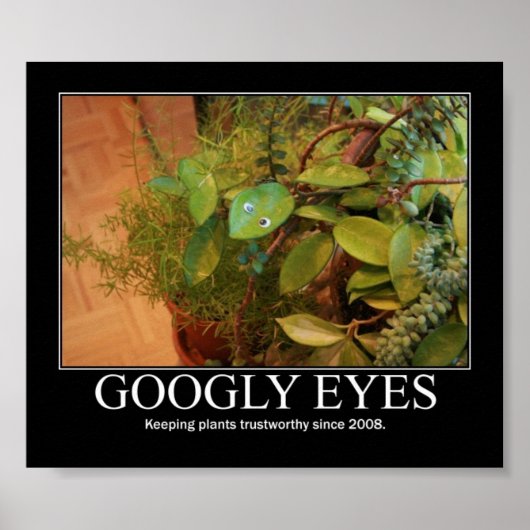 Googly Eyes Poster (Vorne)