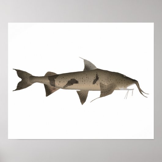 Goonch Poster (Vorne)