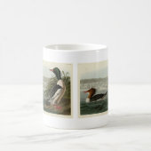 Goosander (Gemeiner Merganser) Audubons Vögel Kaffeetasse (Mittel)