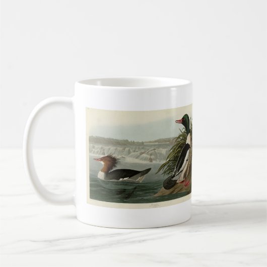 Goosander (Gemeiner Merganser) Audubons Vögel Kaffeetasse (Links)