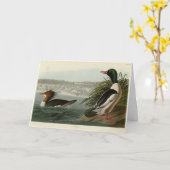 Goosander (Gemeiner Merganser) Audubons Vögel Karte (Gelbe Blume)