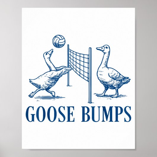 Goose Bumps Volleyball  Poster (Vorne)