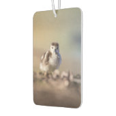 Goose Chick Nature Foto Autolufterfrischer (Links)
