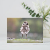 Goose Chick Nature Foto-Karte (Stehend Vorderseite)