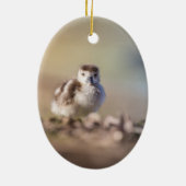 Goose Chick Nature Foto Keramik Ornament (Hinten)