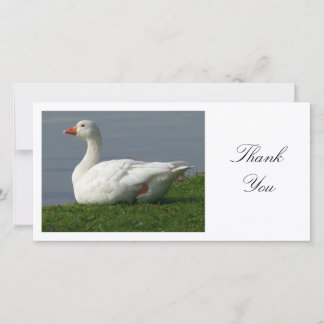 Goose - Danke