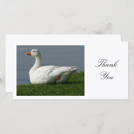 Goose - Danke (Vorne/Hinten)