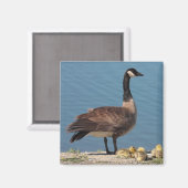 Goose Family Magnet 2 (Vorderseite/Rückseite)