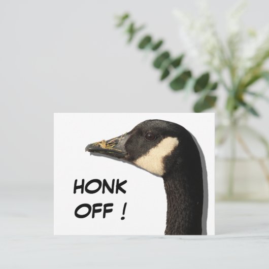 Goose Head Postkarte (Stehend Vorderseite)