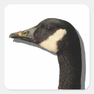 Goose Head Sticker
