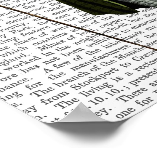 Goose in Green Regency Coat Poster (Ecke)