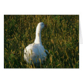 Goose in The Hay Meadow (Vorderseite (Horizontal))