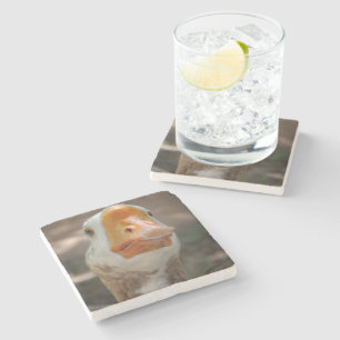 Goose Portrait Steinuntersetzer