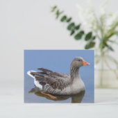 Goose Postkarte (Stehend Vorderseite)
