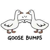 Goose pumps  poster