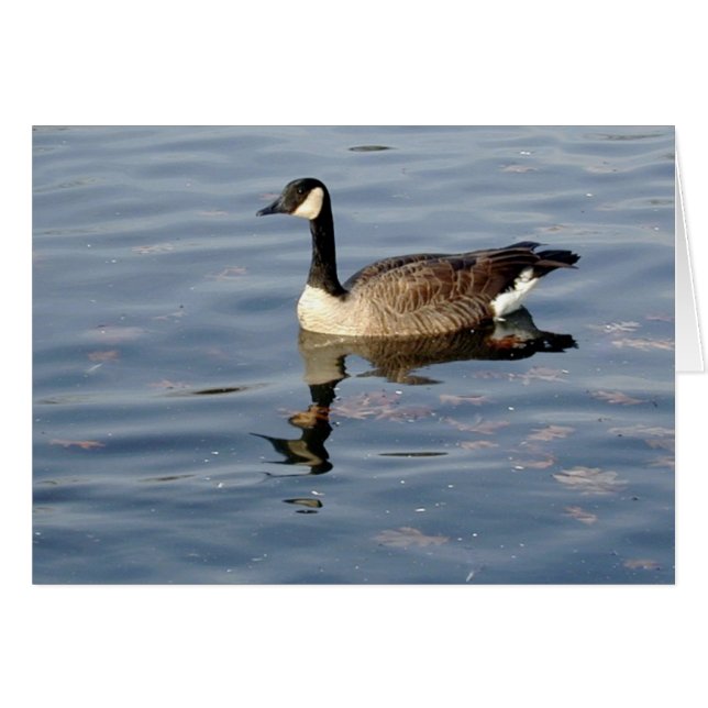 Goose-Reflektionskarte (Vorderseite (Horizontal))