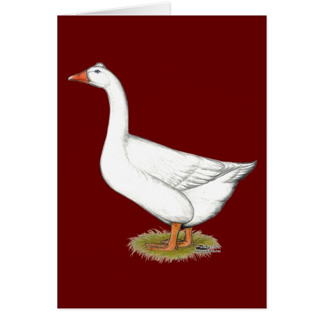 Goose Roman Tufted (Vorne)