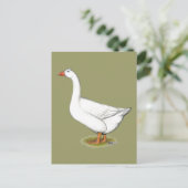 Goose Roman Tufted Postkarte (Stehend Vorderseite)