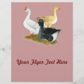 Goose Trio Flyer (Vorne)