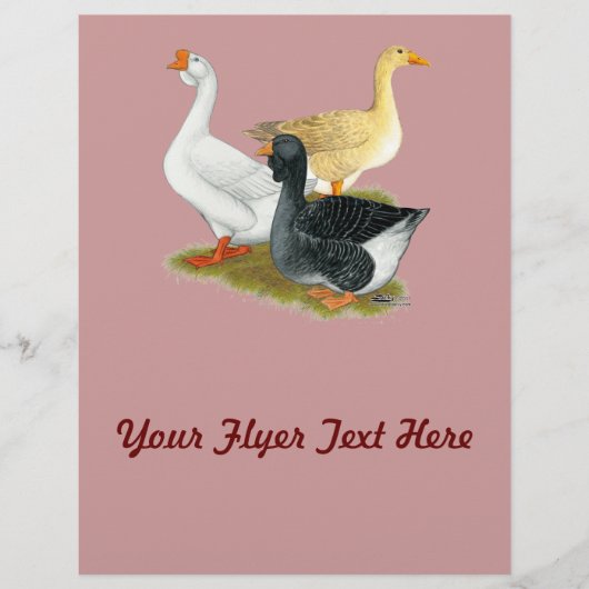 Goose Trio Flyer (Vorne)