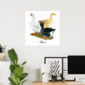 Goose Trio Poster (Heimbüro)
