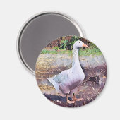GOOSE UNTERSETZER MAGNET (Vorderseite/Rückseite)