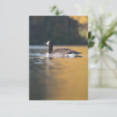 Goose Wildlife Foto Karte (Stehend Vorderseite)