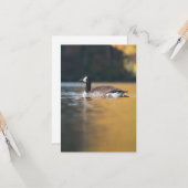 Goose Wildlife Foto Karte (Vorderseite/Rückseite Beispiel)
