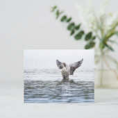 Goose Wildlife Foto Postkarte (Stehend Vorderseite)