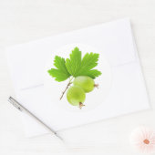Gooseberries Runder Aufkleber (Umschlag)