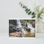 Gooseberry Falls Postkarte (Stehend Vorderseite)