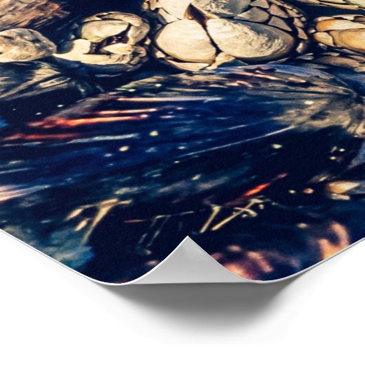 Gooseneck Barnacles & Mussels, Westküste Kanada Poster (Ecke)